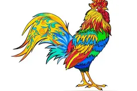 生肖鸡，您知道您一生最大的贵人是谁吗？图片