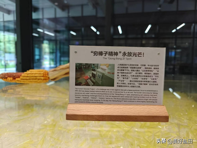 想去！华大时空中心遛娃攻略来啦！