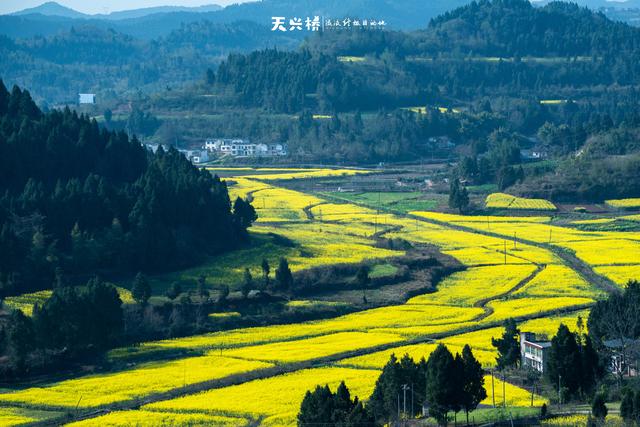 四川省西充县历史沿革及行政区划