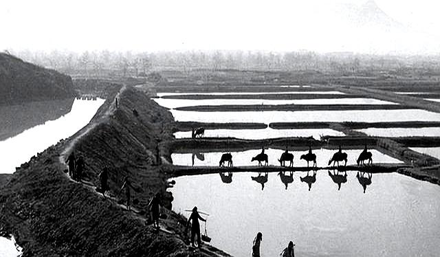 儿子33岁没对象！母亲晚上偷偷溜进他房间 掀开被子当场愣住