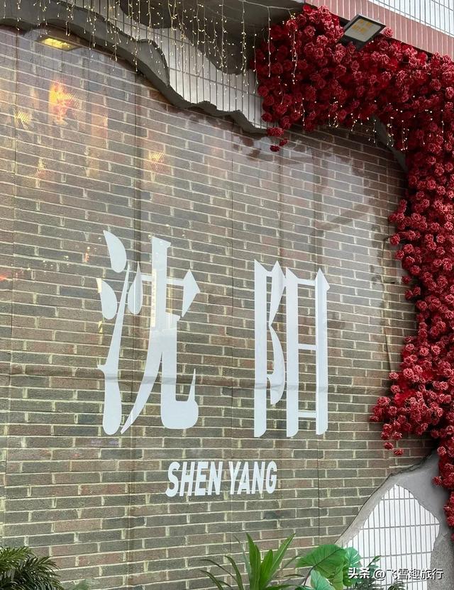 我是西北人,来了趟沈阳,说说我对沈阳的几个印象(附攻略)
