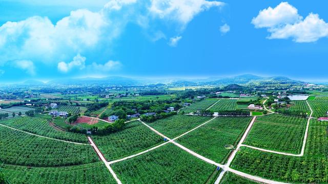 四川省游仙区历史沿革及行政区划