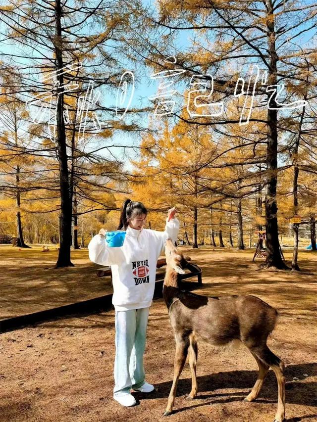 阿尔山秋季出片指南：这些打卡点，让你朋友圈被赞爆