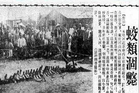 龙！真实存在吗？图片