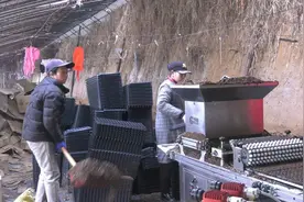 从“田间地头”到“全国餐桌”的“辣”味崛起——甘肃宁县推进构建辣椒全产业链发展纪实图片