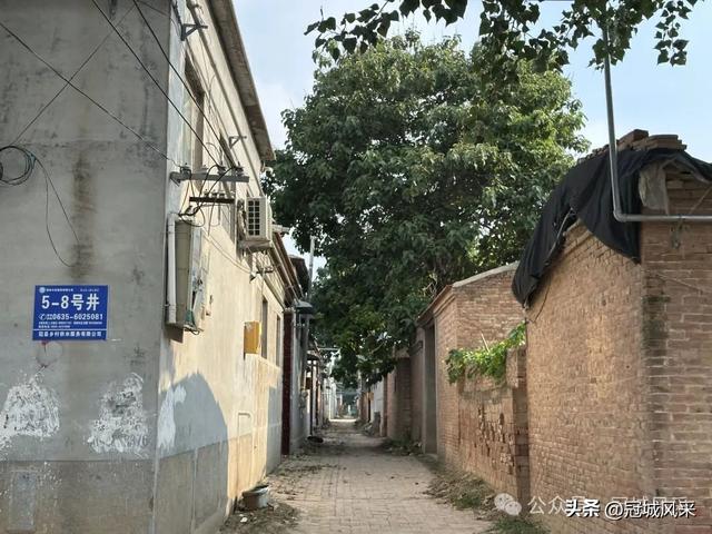 冠县乡韵·辛集镇丁刘八寨