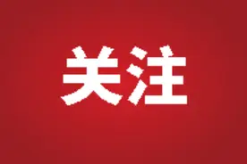 @广大高校毕业生，临沂市2025年就业见习岗位需求信息公告来了图片