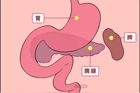 得罪不起的人体器官——胰腺，这些症状可能是胰腺在求救！图片