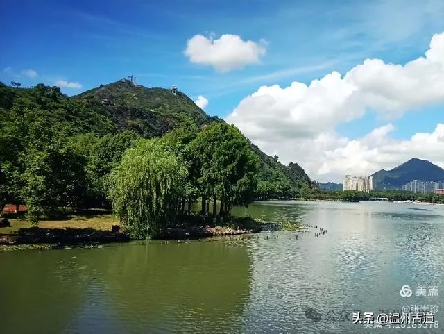 从最美公园到网红观景台，温州这两个火爆朋友圈的打卡点你可去过