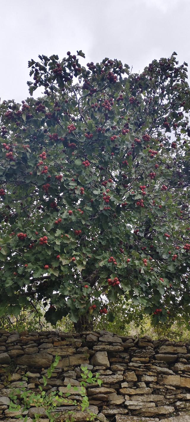 探访博山源泉郑家庄月亮门象鼻子山