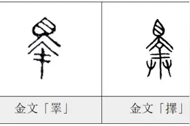 每日一字——择图片