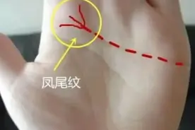 老人常说“手有凤尾纹，富贵又清闲”，啥是凤尾纹？你手上有吗？图片