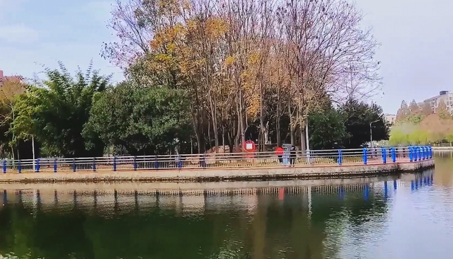 水乡藏韵 诗里寻踪 潜江行之“南门河游园 闹市中的水乡清幽”