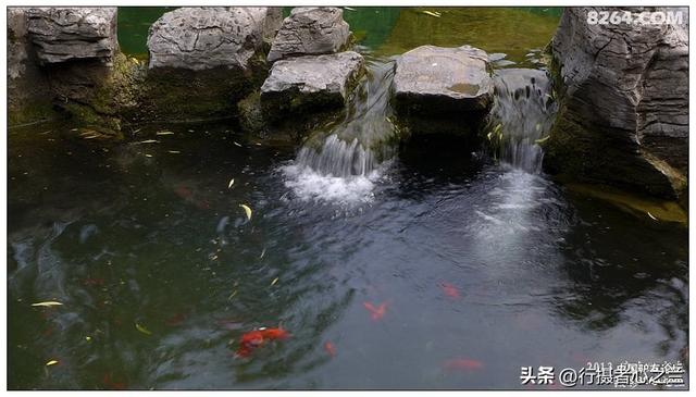 山东行游影记（2）—济南趵突泉（二）