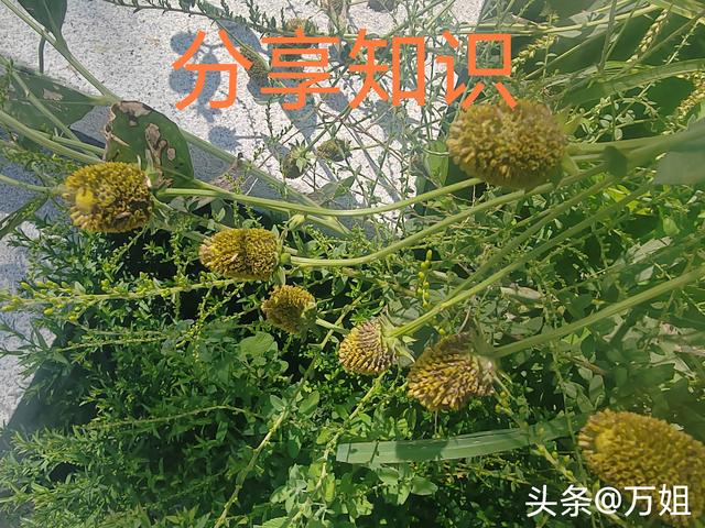 两性交往，要想刺激女人的荷尔蒙，只需记住这6点，绝对让她动心