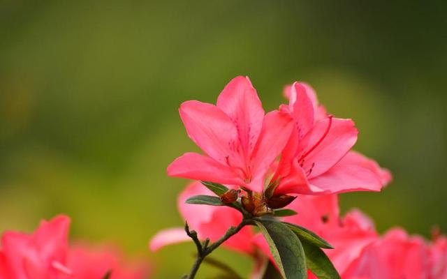 头条爆文《夫妻最好的相处：不是搭伙过日子，而是并肩闯人间》