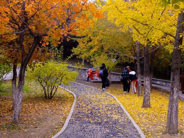 北京市景区购票服务平台上线试运行~首批上线丰台8家景区！