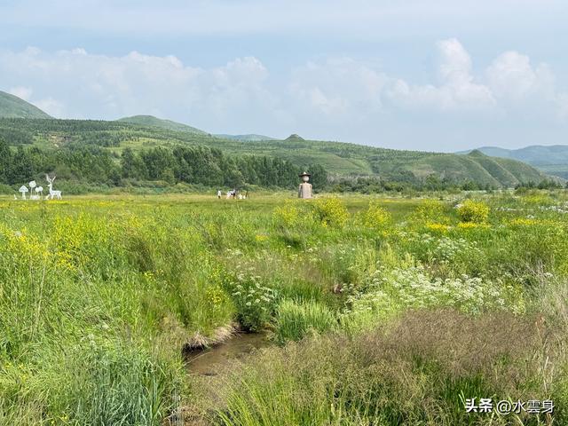 向北而行：北京自驾沽源、多伦、太仆寺旗的草原牧歌（2）沽源篇