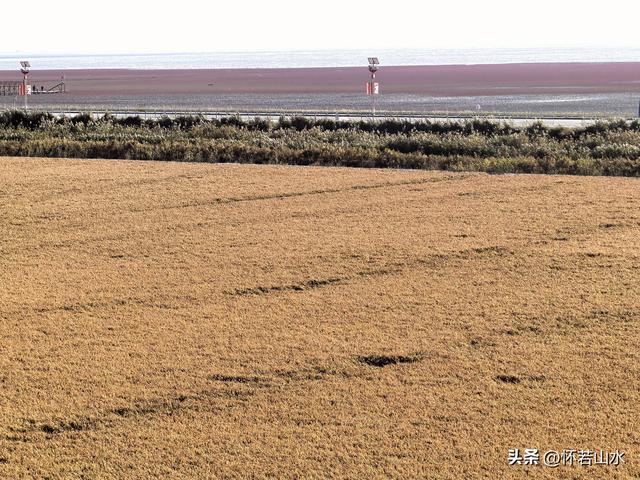 2025辽宁赏秋之旅日记(5)——从本溪前往盘锦 游览红海滩景观