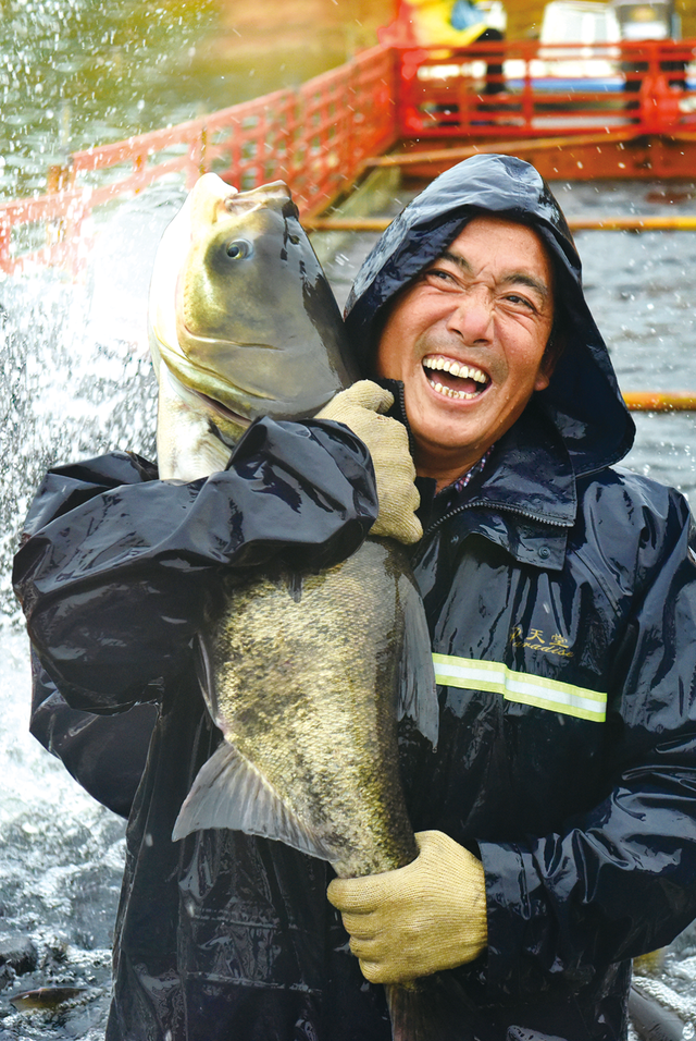 洈水的秋，慢了半拍，美了一倍