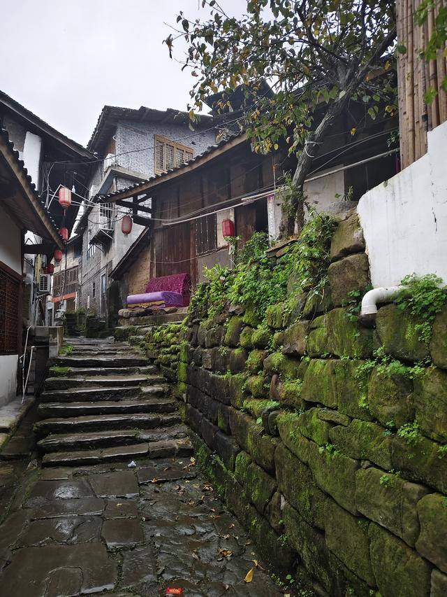 南行漫记：巴中到南充，游恩阳古镇，参观朱德总司令故居