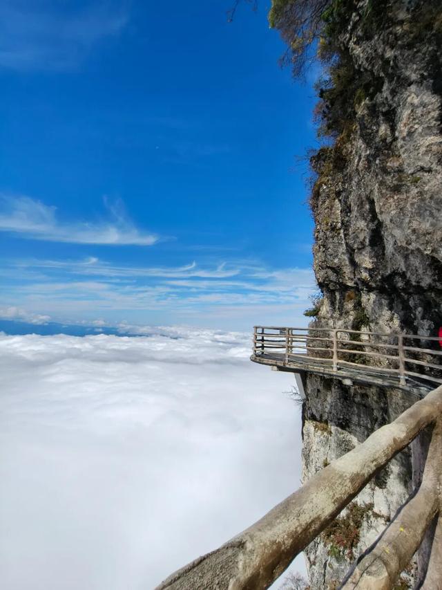 谁说秋日只有红？来龙头山，感受五彩鲜活的秋~