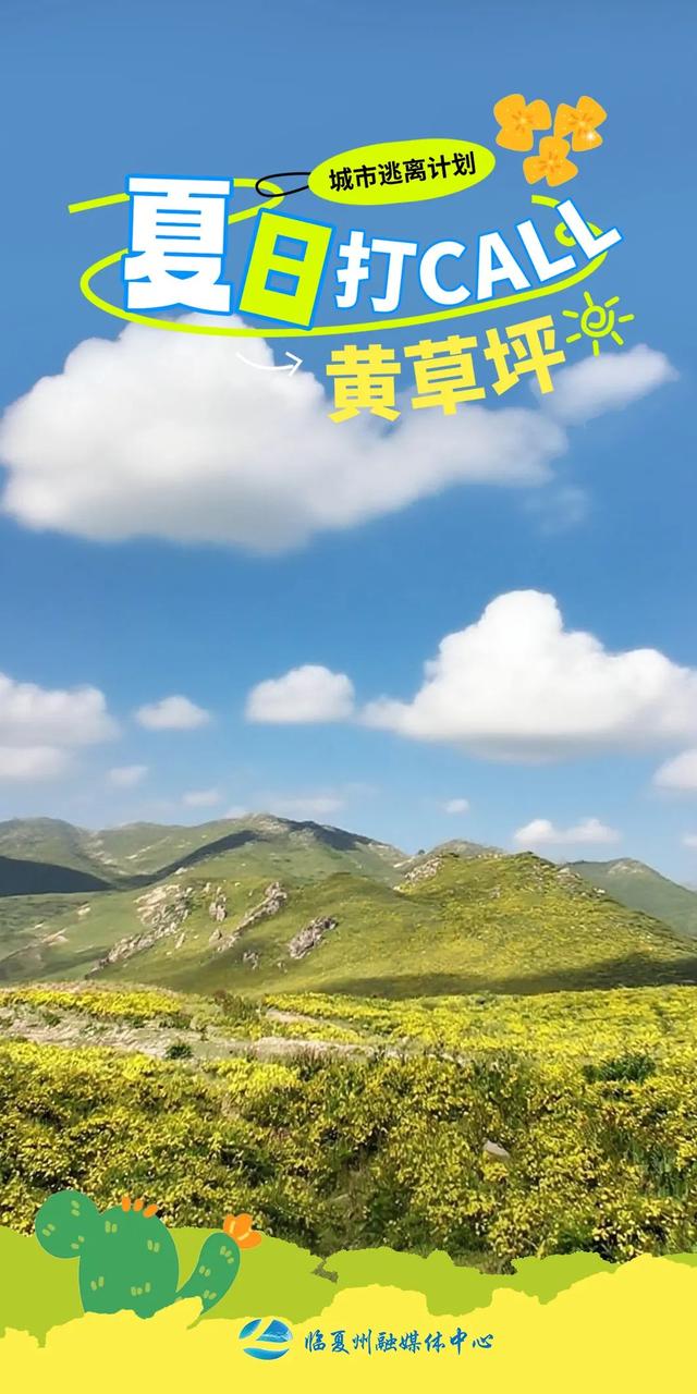 海报｜夏日，奔赴那片黄草坪