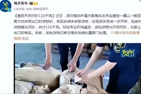 引人质疑？深圳海关查获天然河砂116千克，为何沙子都要查图片