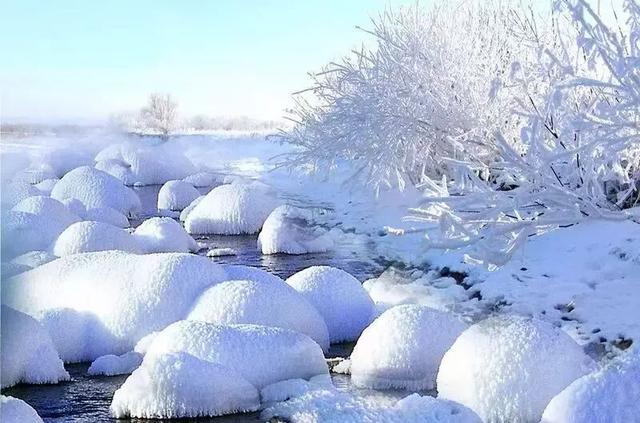雪原递柬！呼伦贝尔大草原北京招商推介会11日启幕