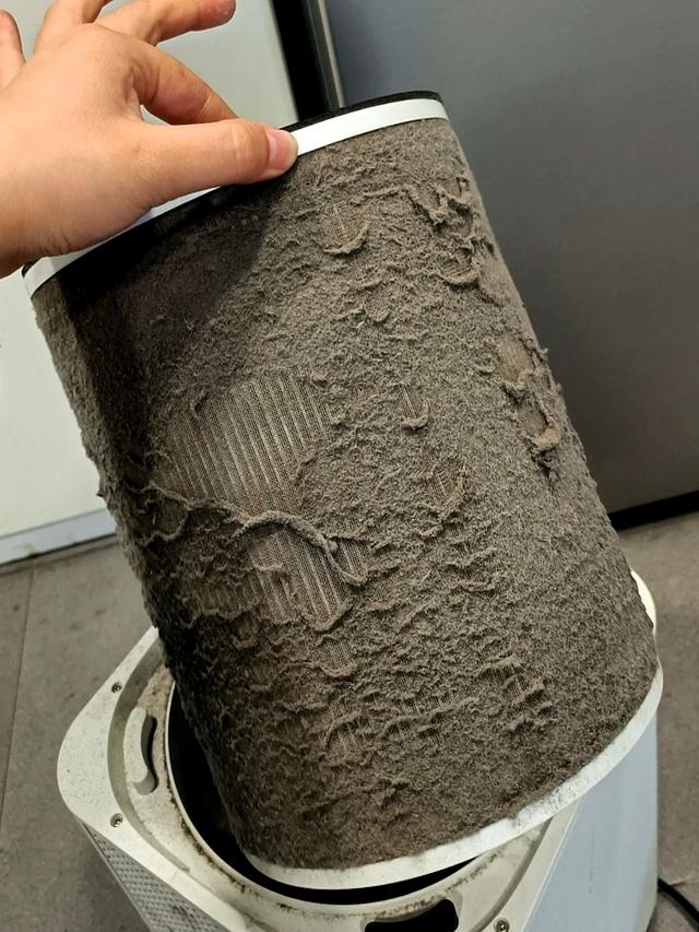 红得快，凉得更快的7种小家电，以前是“网红”，现“无人问津”