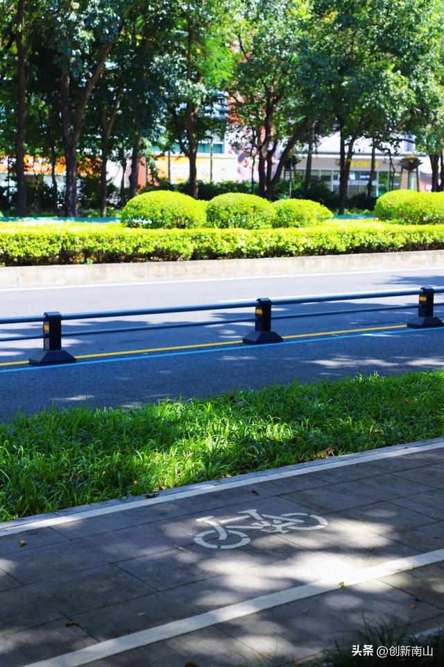 骑行体验拉满！3.2km独立自行车道“解锁”！就在……