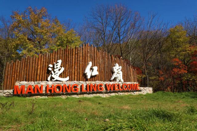 G334秋色正浓,漫红岭的红叶又美到炸裂了!