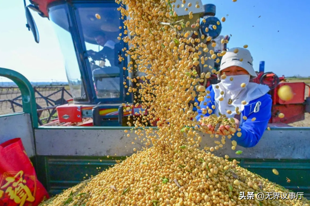 中国人吃肉蛋奶毁雨林？外媒双标玩得溜，中企护林行动证清白