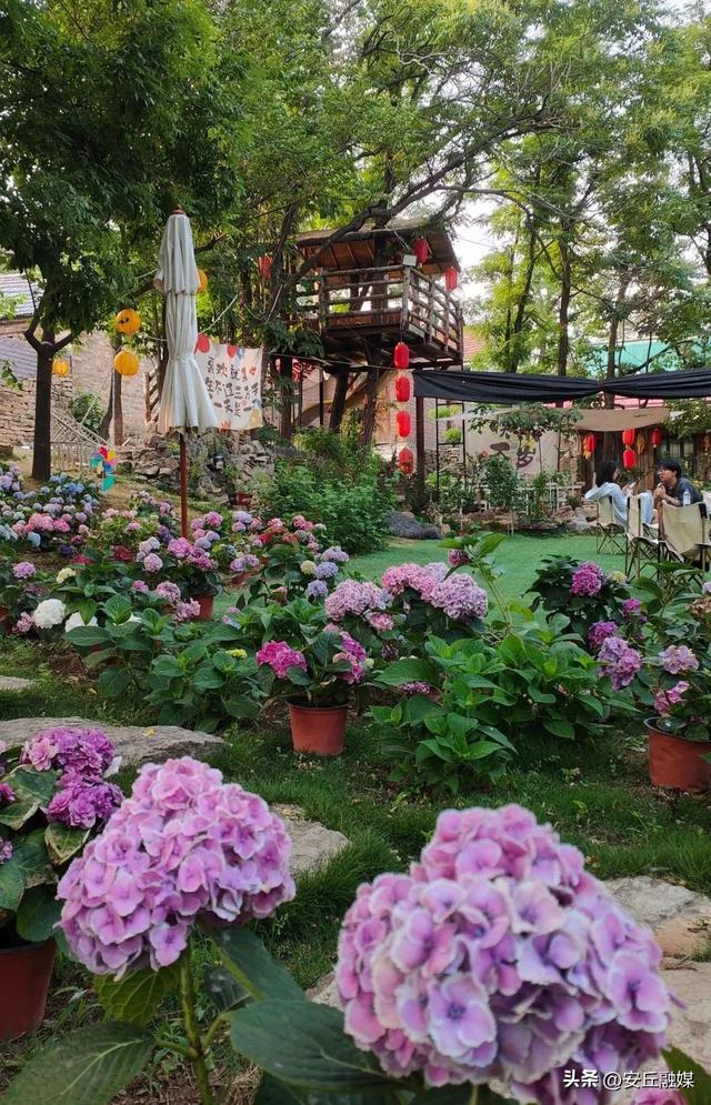 周末必冲！潍坊“齐鲁天路”安丘段“宝藏民宿地图”，快来山里躺平吧！