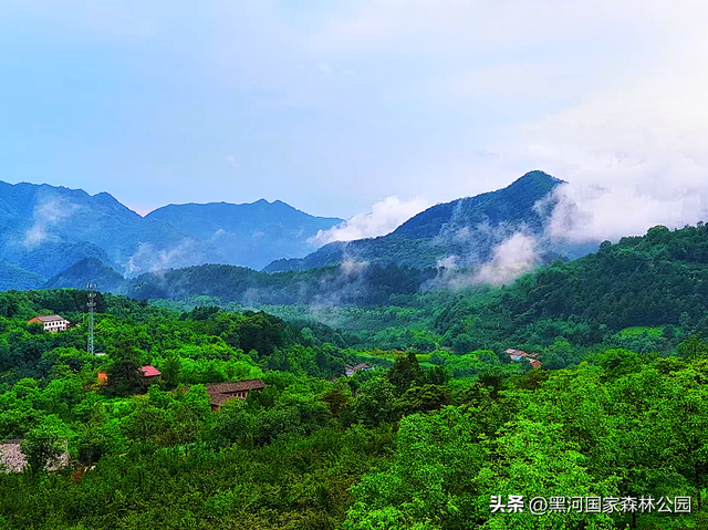 云海翻涌，薄雾缭绕，在黑河山间邂逅“山林仙境”