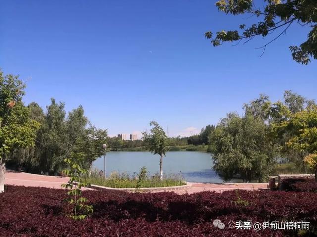 新疆之行（九）博乐，一座令人心动的宜居城市