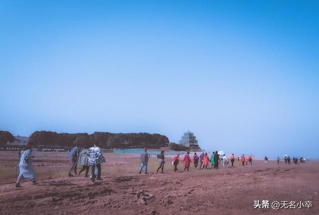 为啥这么多老年人明知跟团会挨宰，也不选择自由行，原因令人心酸