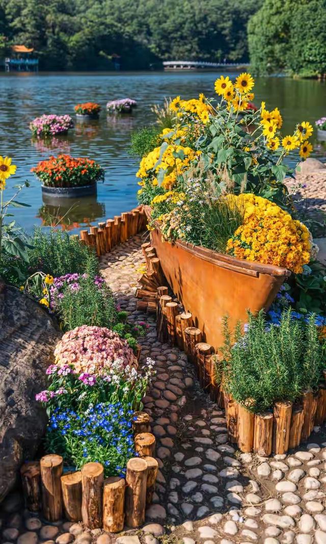 深圳秋景隐藏王者！仙湖植物园刷爆朋友圈