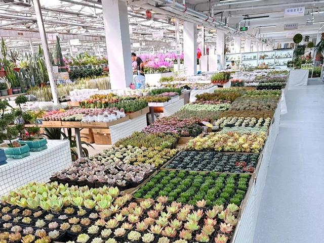 冬天不冷的秘密!就藏在玉泉营