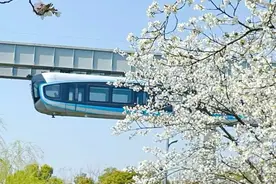 武汉樱花季： 空轨赏樱专线来了图片