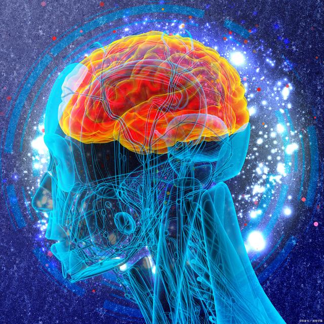 神经学重大发现！大脑远比解剖结构复杂，自闭症、老年痴呆将治愈