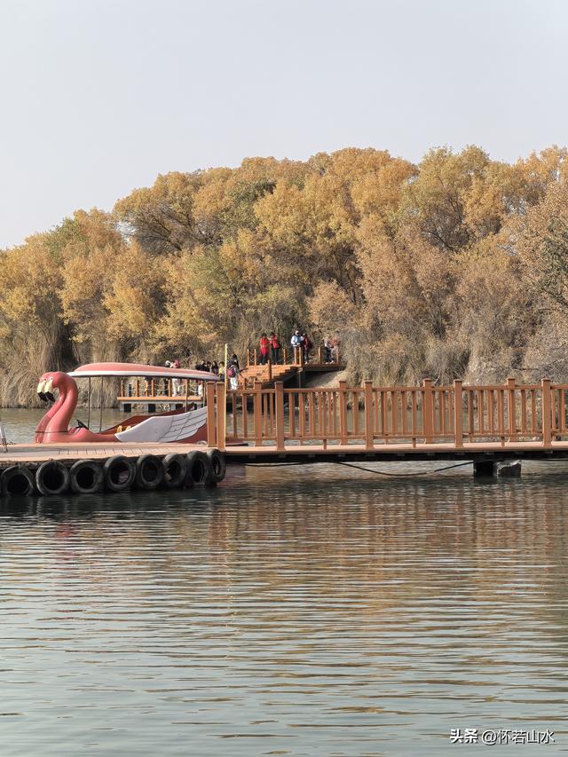 2025环南疆沙漠铁路背包自由行日记(4)——游览泽普金湖杨景区