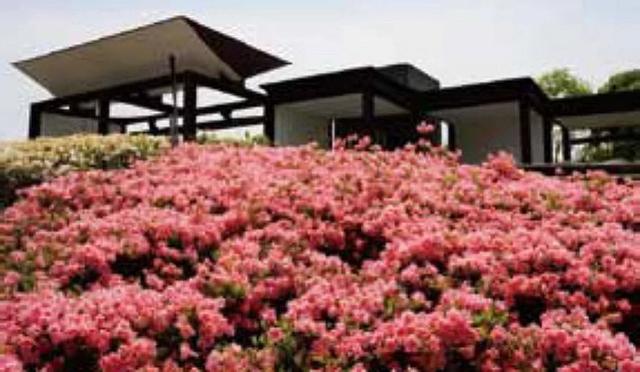 大阪「万博纪念公园」完整指南:交通、推荐景点、周边美食总整理