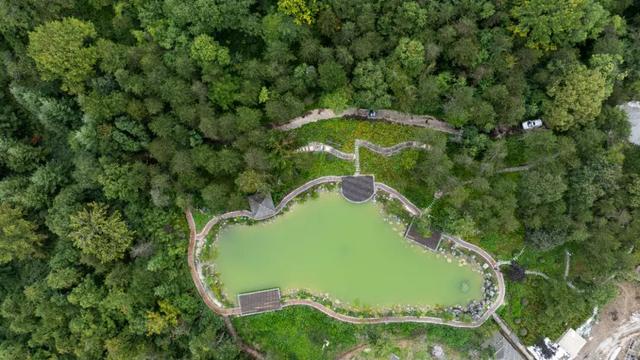 守护生态秘境——走进徽县三滩森林公园