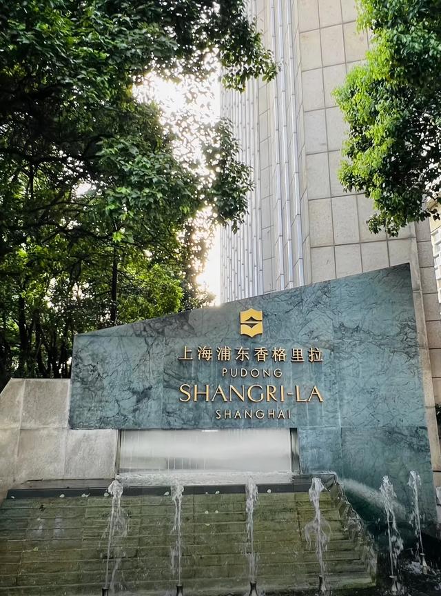 上海前十酒店盘点！从奢华到性价比，总有一款让你躺平不想走！