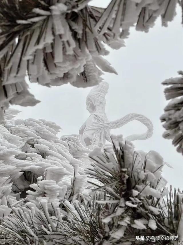 冬日连云港：一半冰雪，一半沧海的浪漫秘境