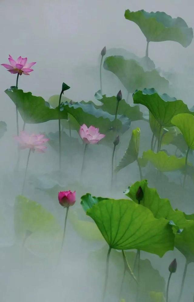 开了！超美！超出片
