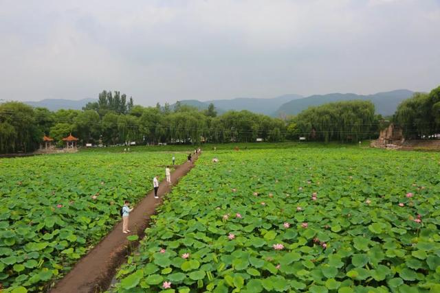 【文明旅游】太原：难老泉润稻荷香