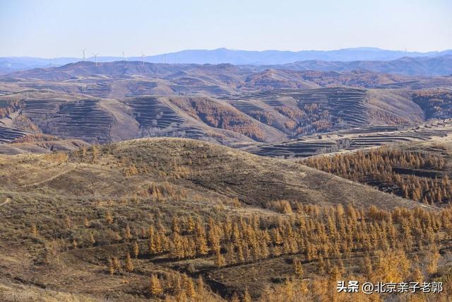 北京周末自驾新选择！全家重阳出游人少景美