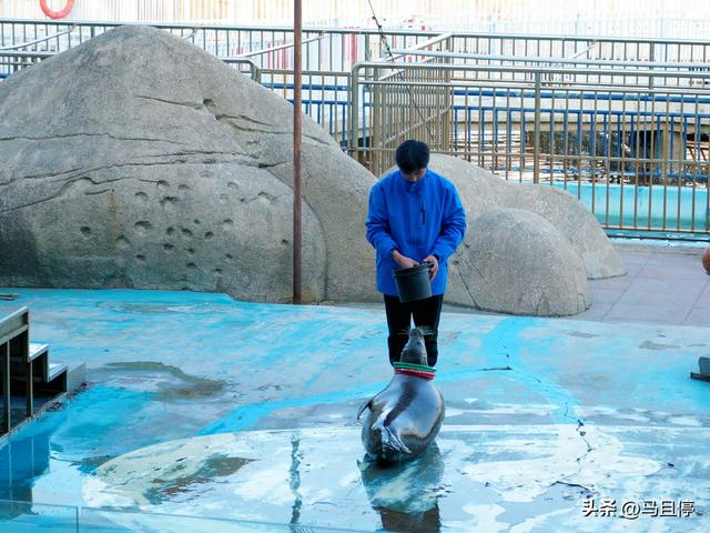 今年去过最喜欢的海滨城市烟台,这份4天3夜懒人玩法记得提前收藏